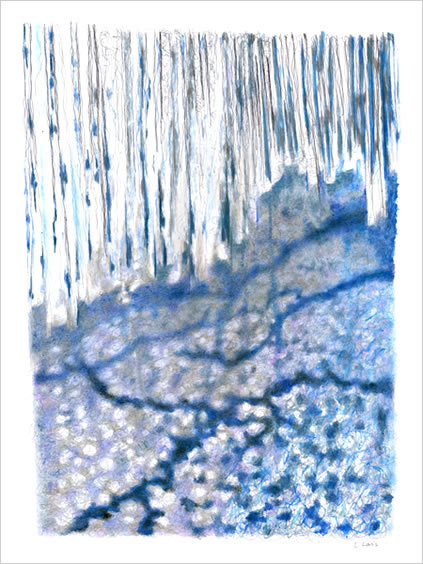 Click image for enlarged section