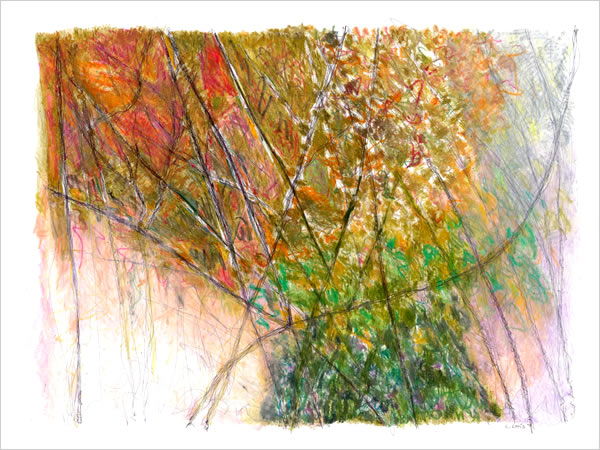 Click image for enlarged section