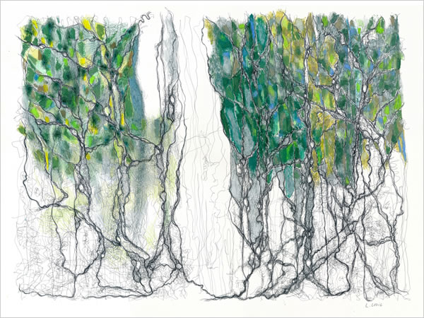 Click image for enlarged section